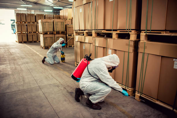 Best Best Pest Control Companies  in Bluffdale, UT