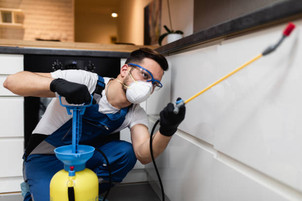 Best Cockroach Control Services  in Bluffdale, UT