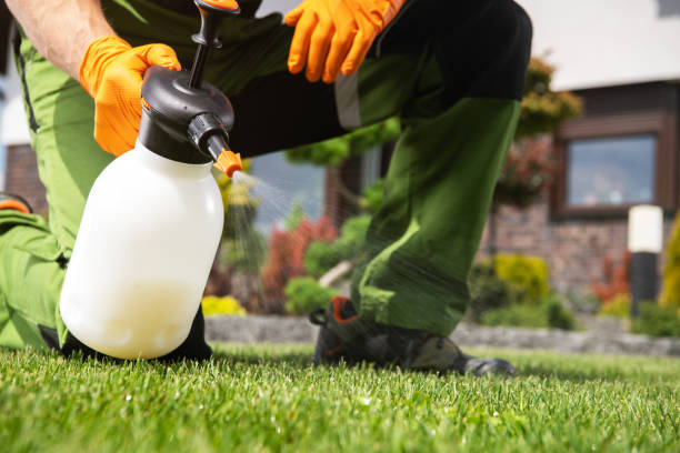 Reliable Bluffdale, UT Pest Control Solutions