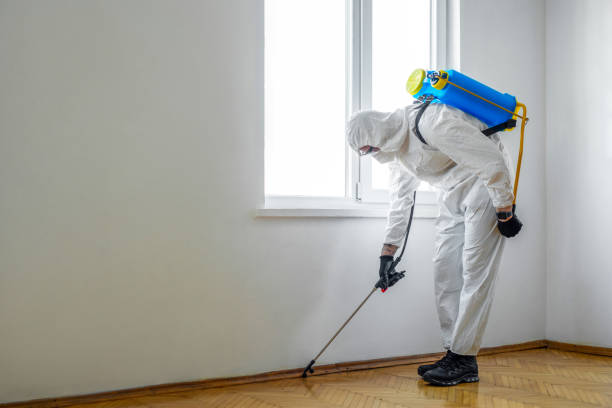 Best Pest Removal Services  in Bluffdale, UT