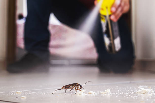 Best Termite Control Services  in Bluffdale, UT