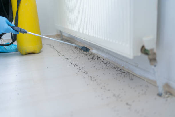 Best Affordable Pest Control Services  in Bluffdale, UT